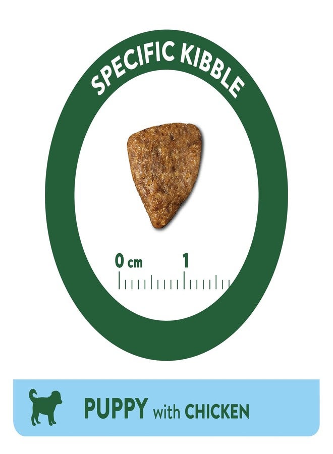 Libra Dog Puppy 3 Kg from Affinity Petcare | Premium Puppy Dog Food | Complete and Balanced for Puppies with Chicken - Image 5